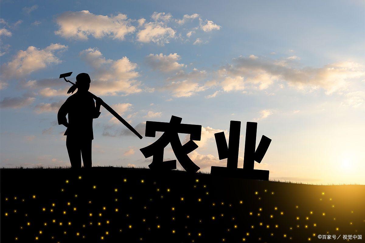 2023年农业的新政策补贴,国家2023年农业补贴包括哪些项目