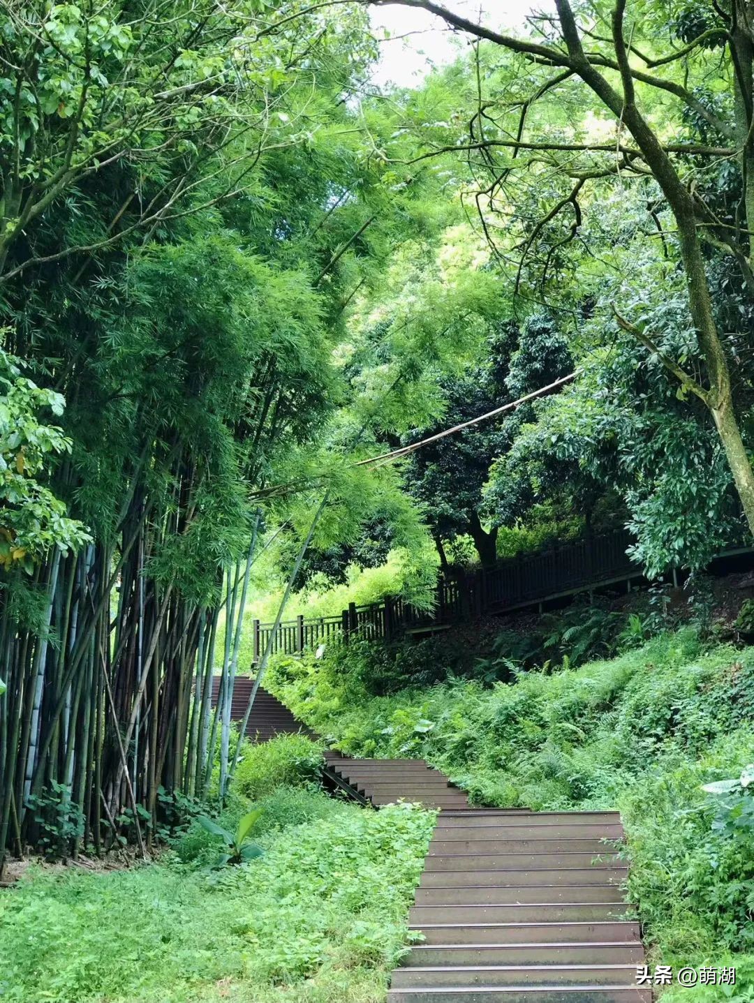 广州这个竹林溯溪胜地玩水,清凉避暑好去处山洞里一起来玩水