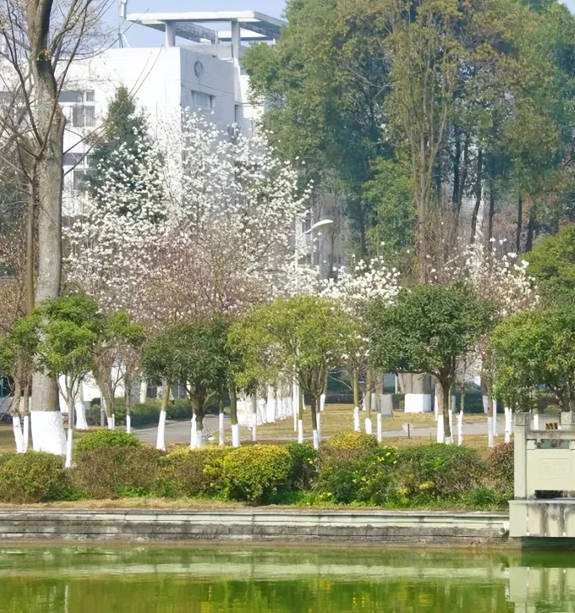 隶属国家电网的国家示范高职院校，百年底蕴，实力强劲，牛人辈出