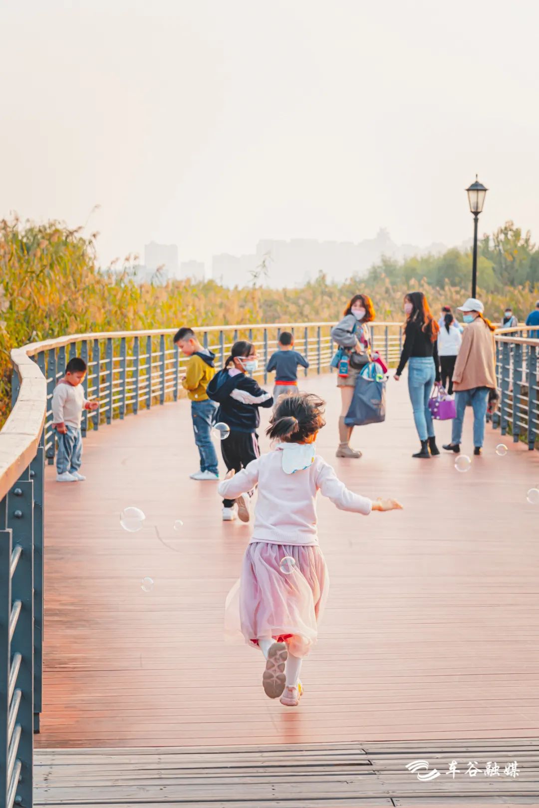 秋日暖阳骑行绿道,骑车绕城绿道值得打卡的推荐