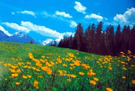 人生难得静心,人生难得清净心