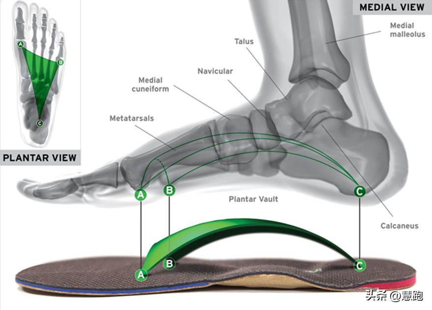 运动生理学测试实验报告,运动生物力学实验室纪录片