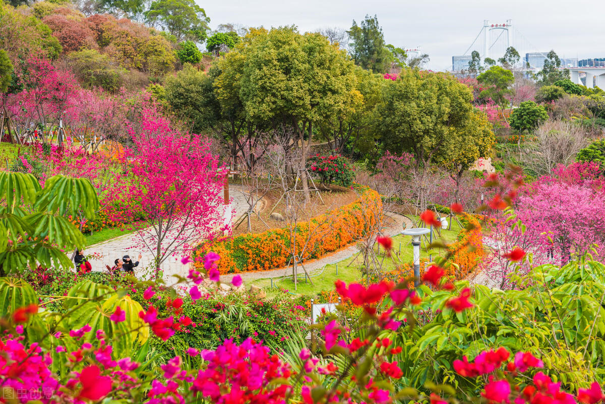 厦门旅游攻略必去的十个地方,厦门旅游攻略几个不错的地方必去