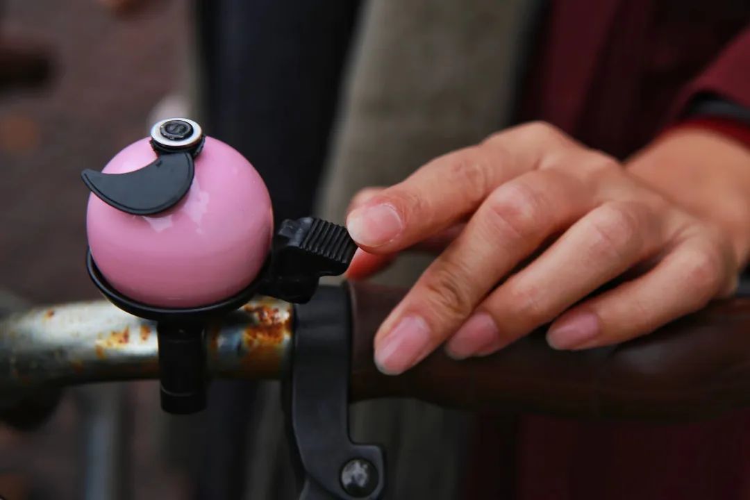 骑行荷兰人,骑自行车旅游达人