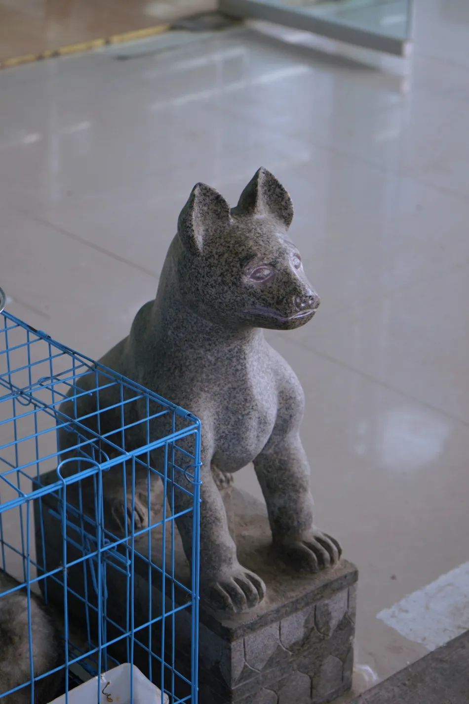 三联鸡鸭市场在哪里,三联市场家禽