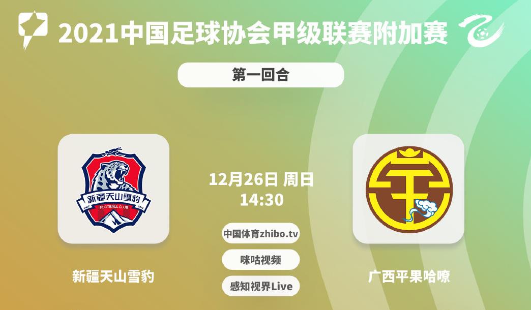 天山雪豹保级泥潭,新疆天山雪豹足球俱乐部降级中乙