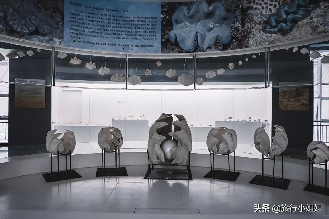 夏日海边微醺氛围感,滨城风光秀丽浪漫气息爆表