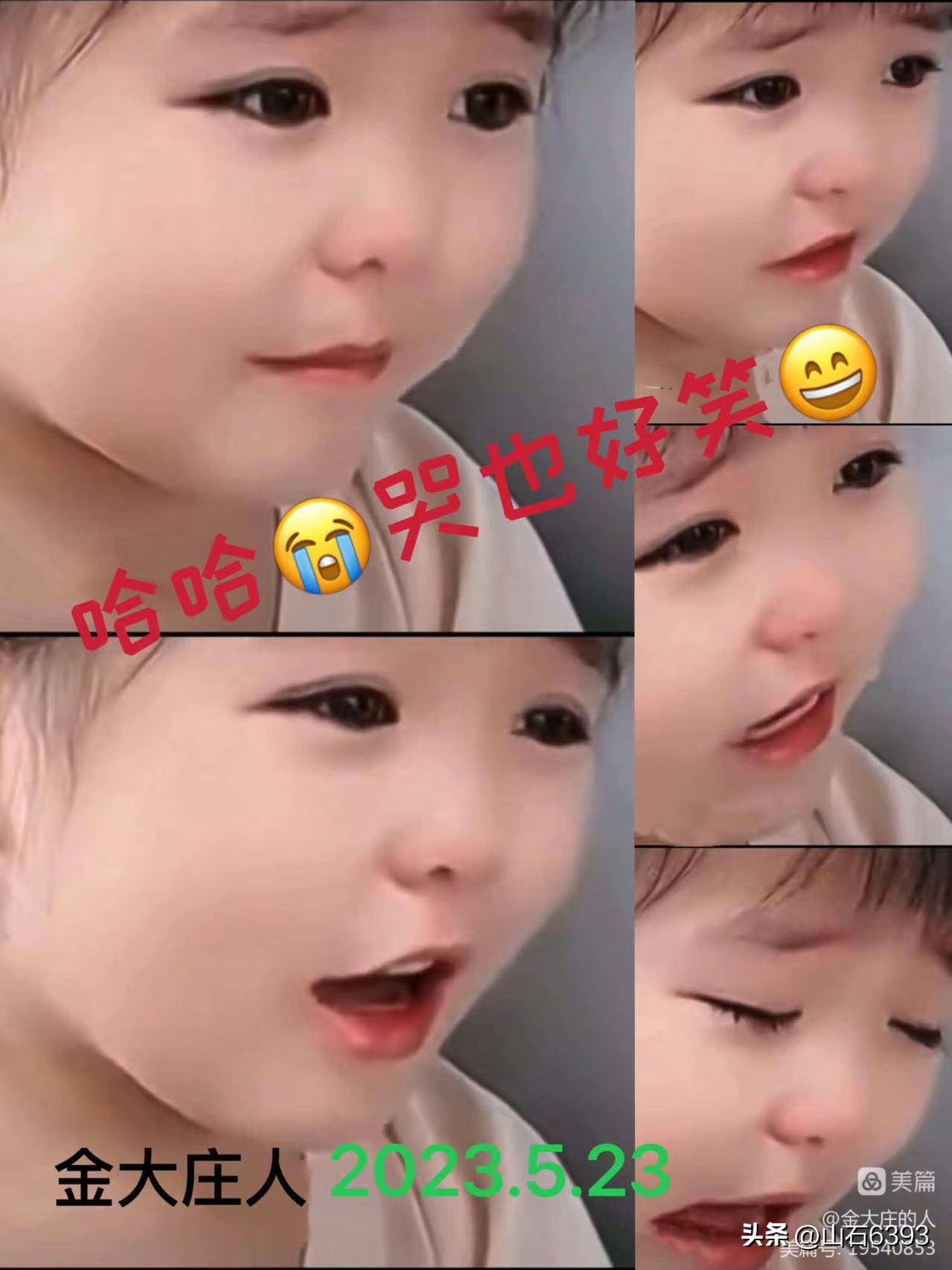 【战友美文】于天松：《爬山虎》（诗）——寓意极丰富哈