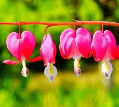 曹县孟宪军,曹县第三中学校长