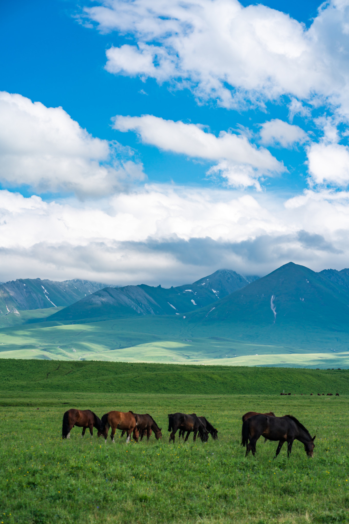 去新疆发现伊犁的美,世界之美尽在伊犁