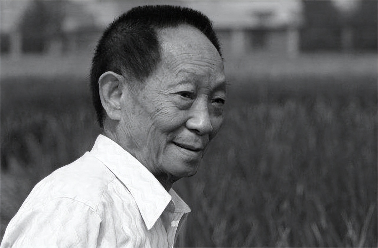 袁隆平让我心生敬意,袁隆平我敬佩的人征文