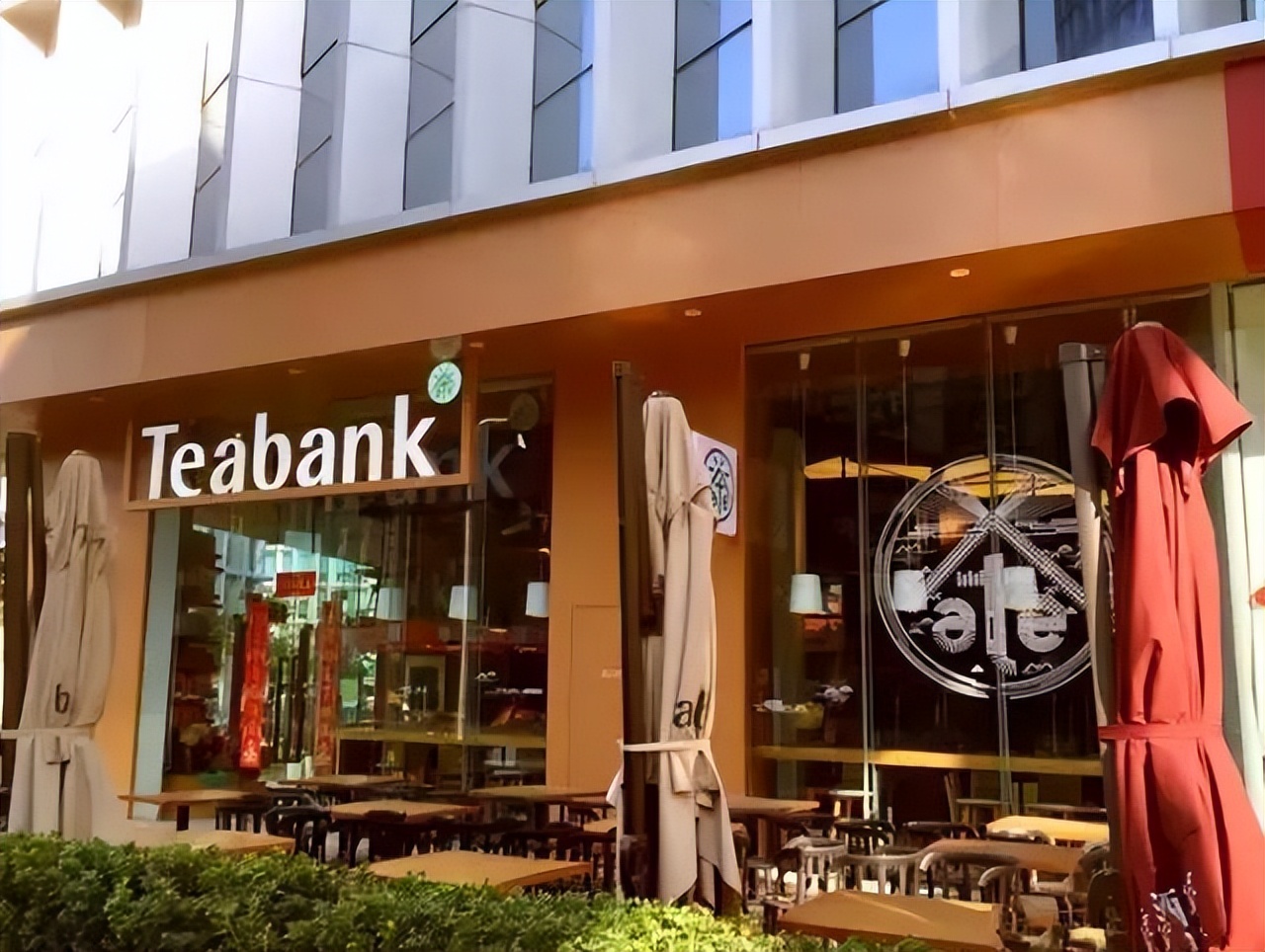 茶语者问答——我怎么走上这条路了?