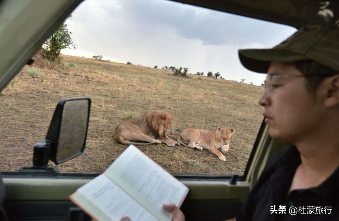 跟随“中国狮子王”，到坦桑看绝色非洲