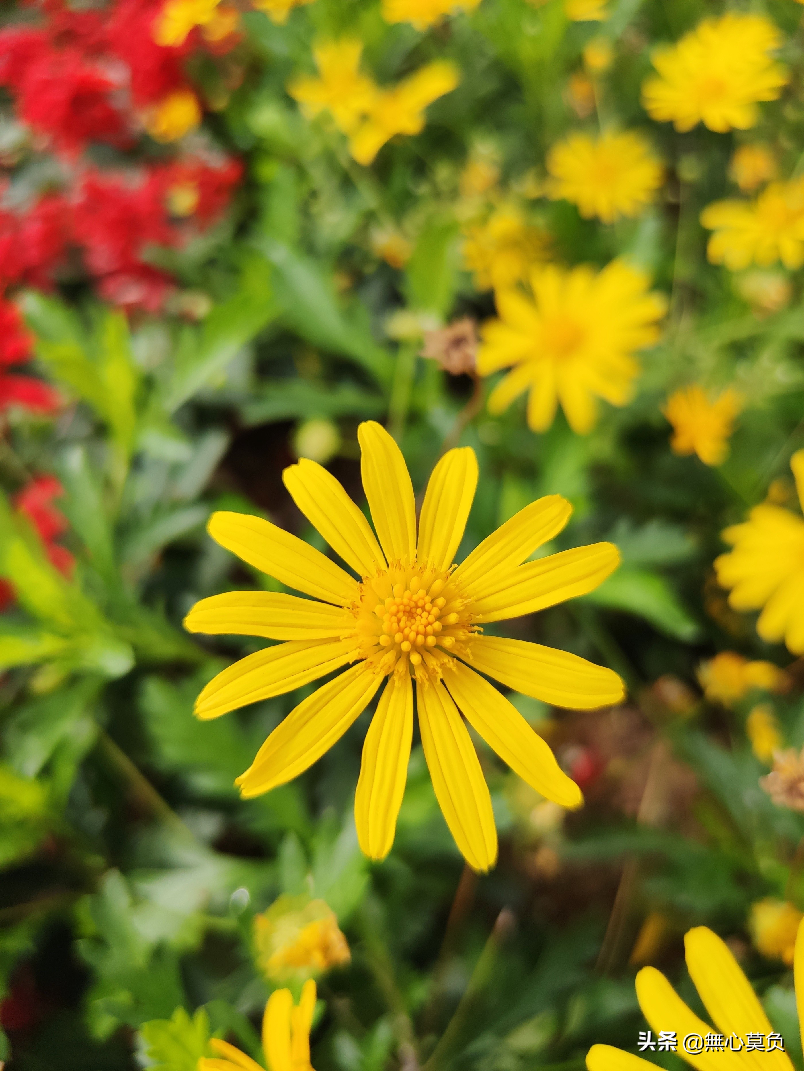 唤醒青春记忆的七月,唤醒青春记忆的句子