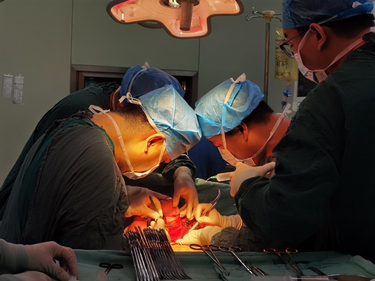 哈医大肝脏手术,哈医大肝移植