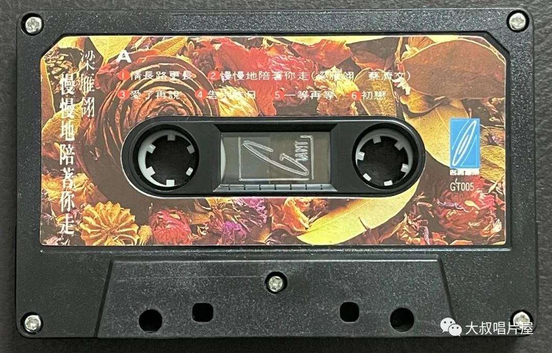 当年最火的50首经典歌,1993年华语乐坛神曲大爆发