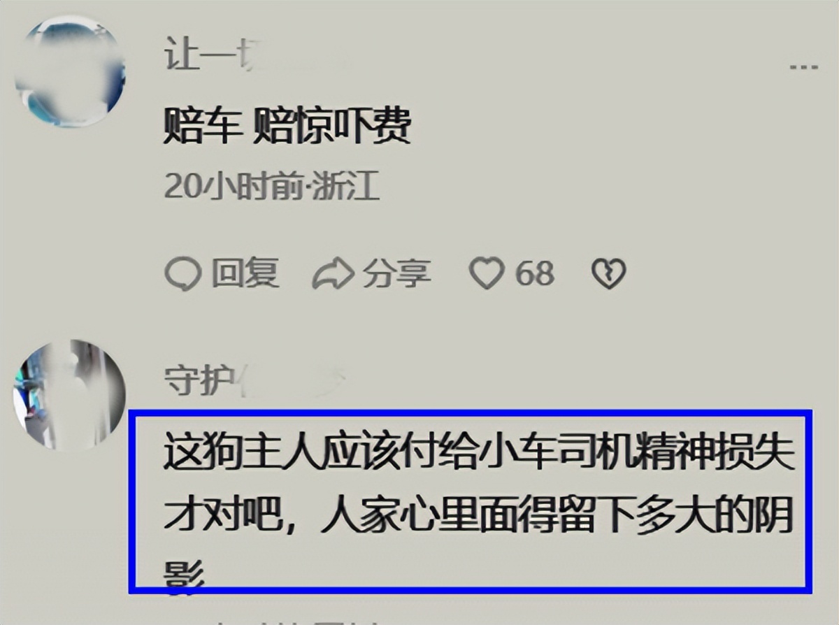 骑车被狗咬了要赔偿吗,狗把车咬了保险公司赔不赔