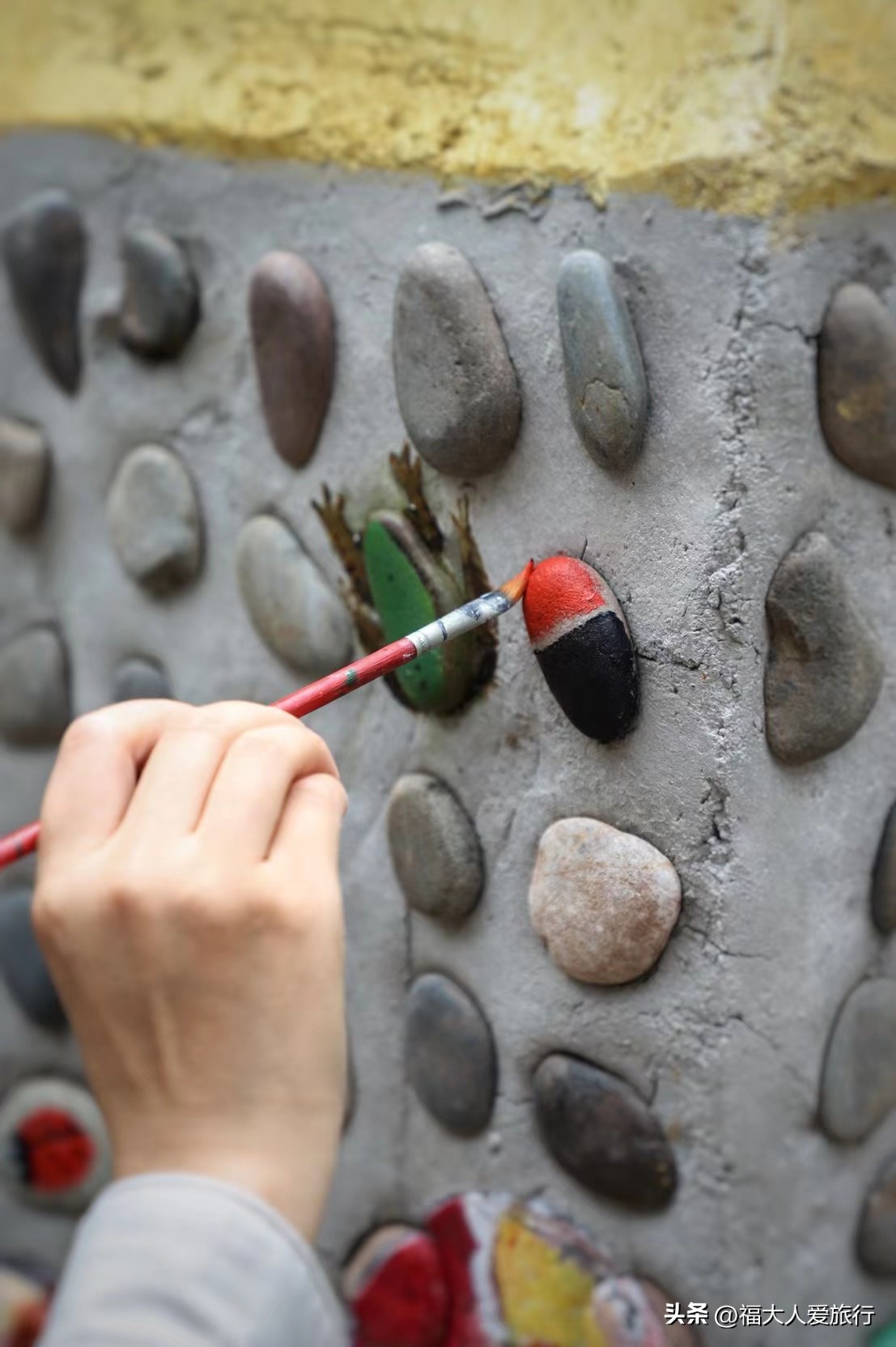 云南西双版纳热带植物园官网,西双版纳植物园全面讲解