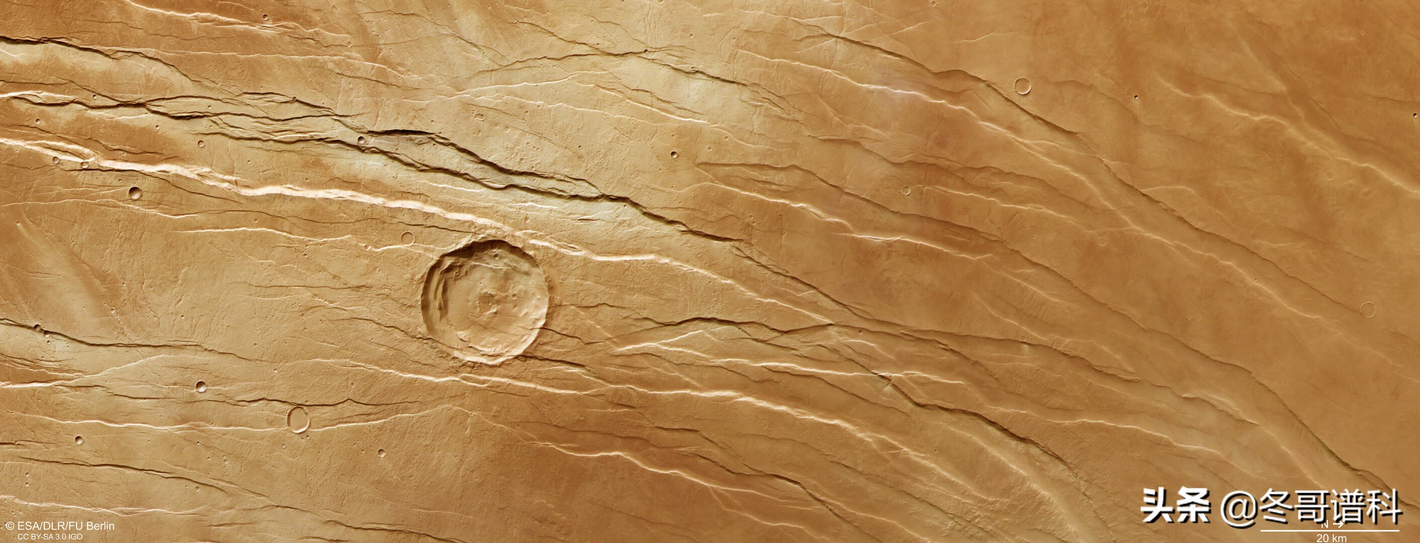 火星上的巨大秘密,火星上的奇特图