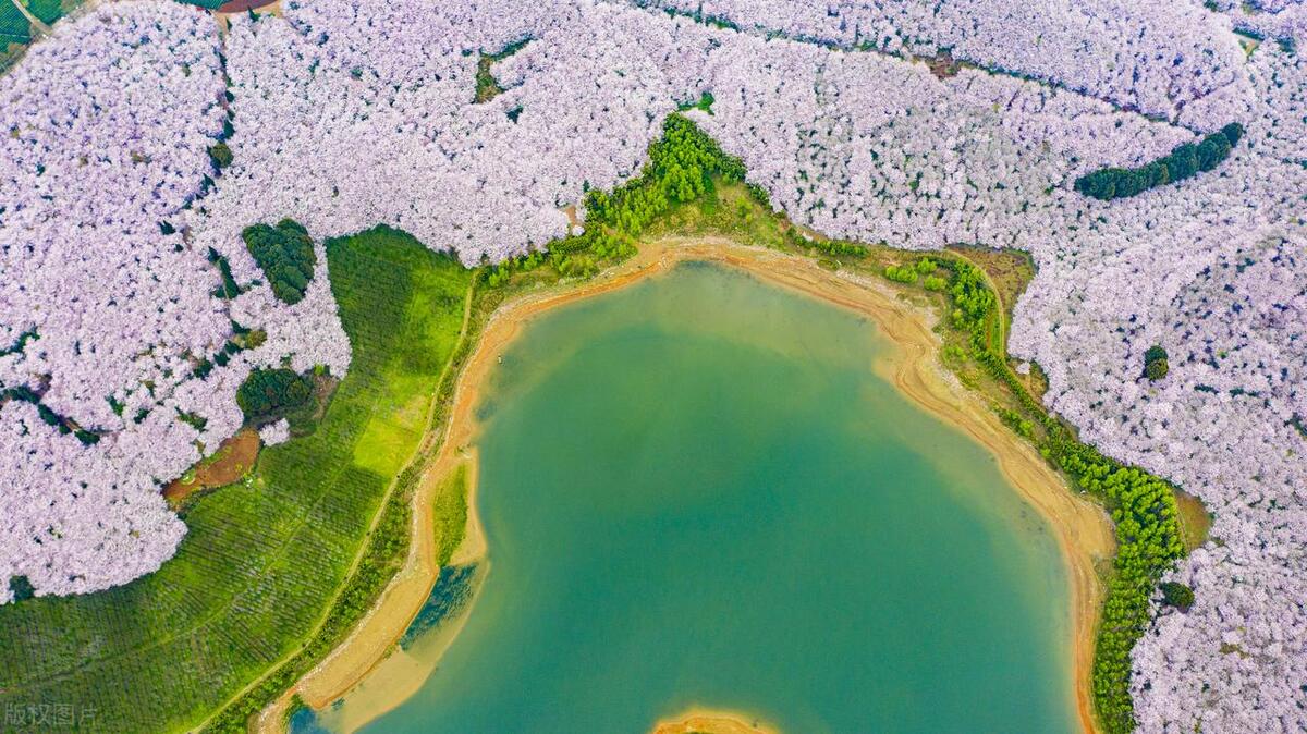 贵州旅游最好攻略,贵州旅游攻略有哪些