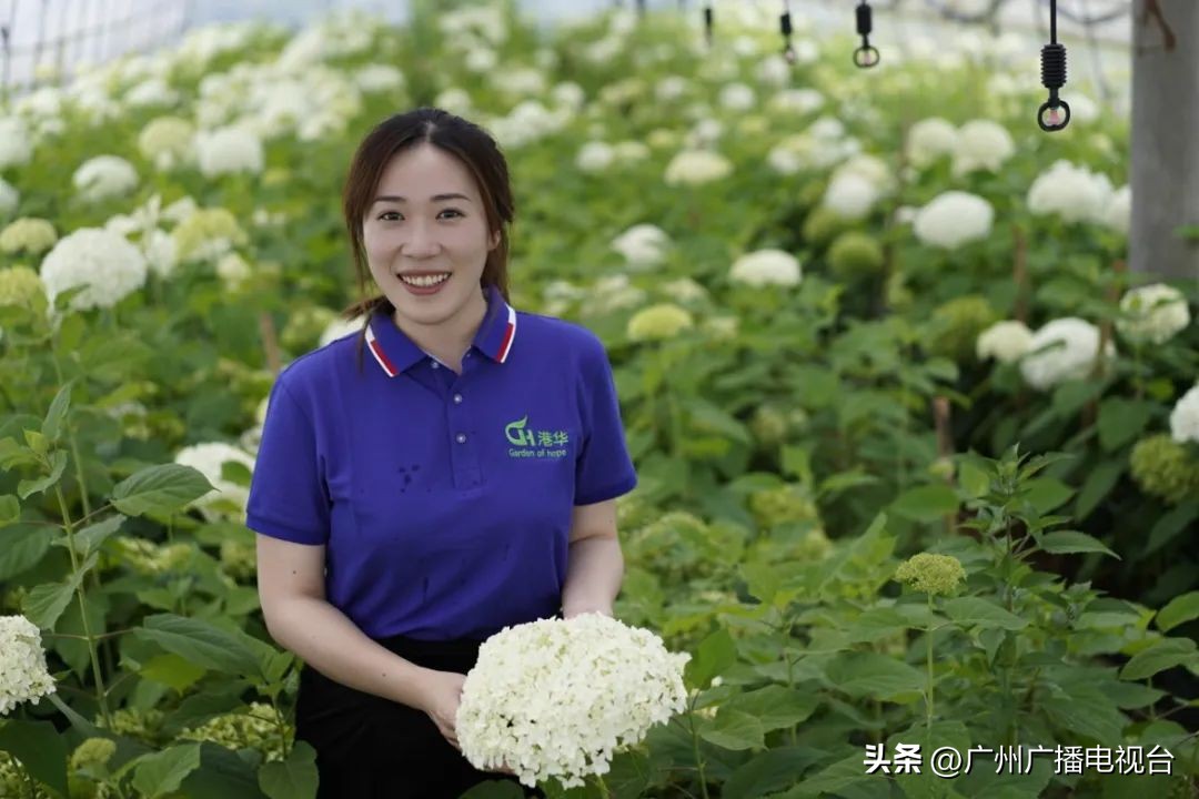 广州市精神文明建设表彰大会,广东省2017年全国精神文明建设奖