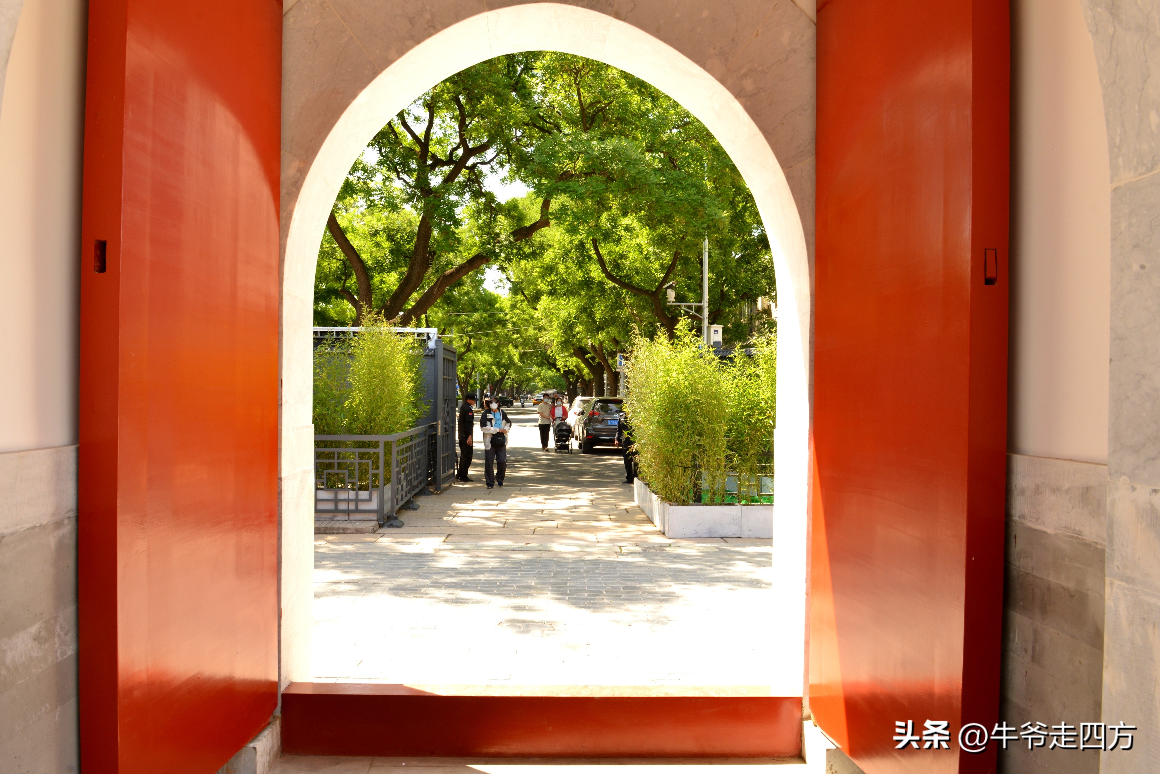 鍖椾含閲戠煶鍗氱墿棣嗗簡浜戝闂ㄧエ,閲戠煶鍗氱墿棣嗗簡浜戝