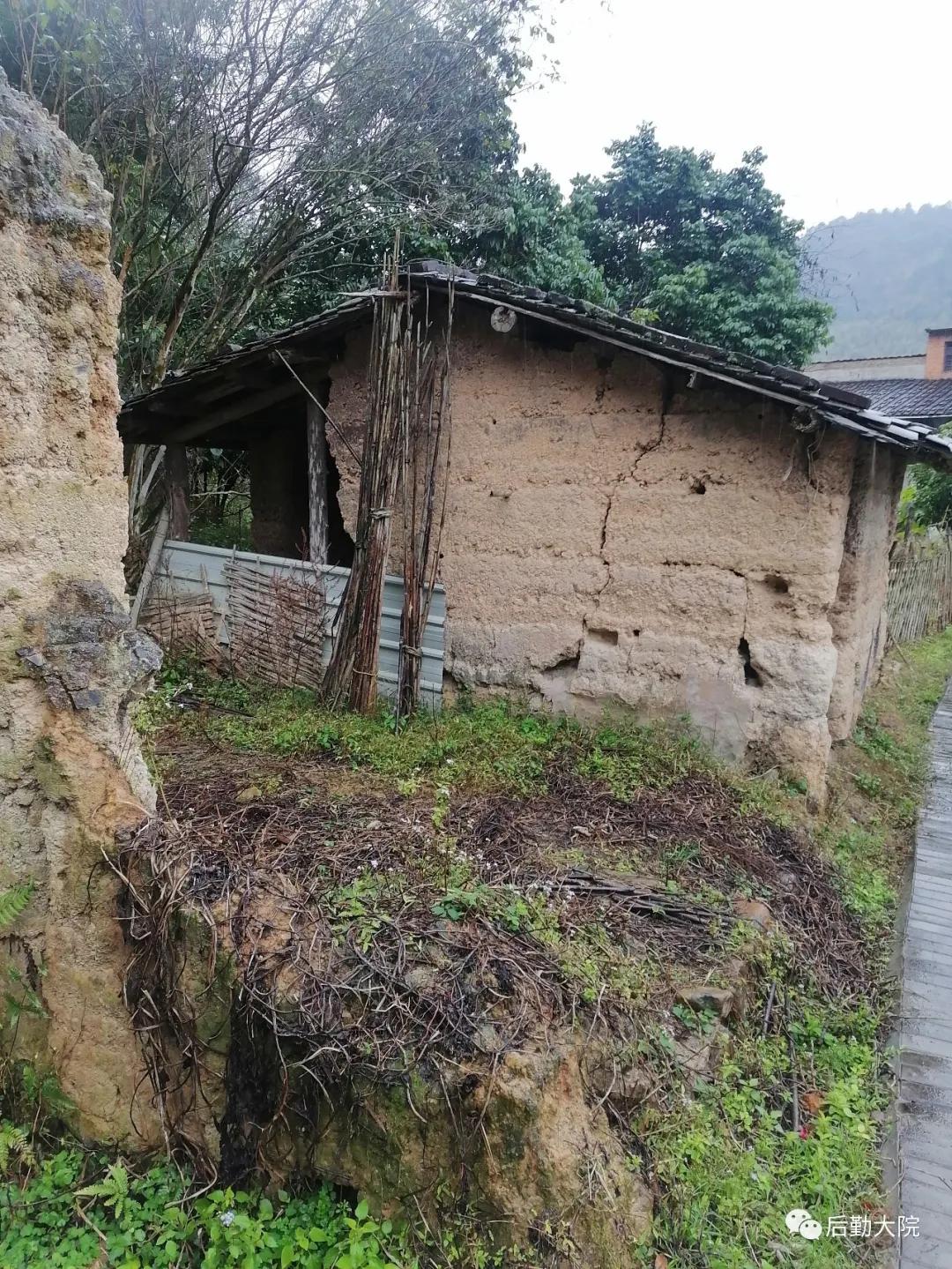 知青点的村支书叫“依派”