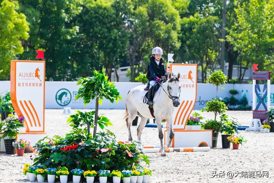 2024上海马术障碍赛,2024马术场地障碍城市系列菁英赛