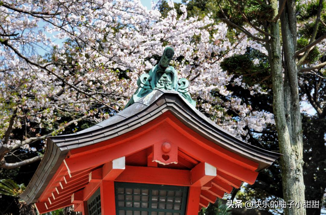 海水不输冲绳，这座青春背后的小城，夏日烟花又封神了！