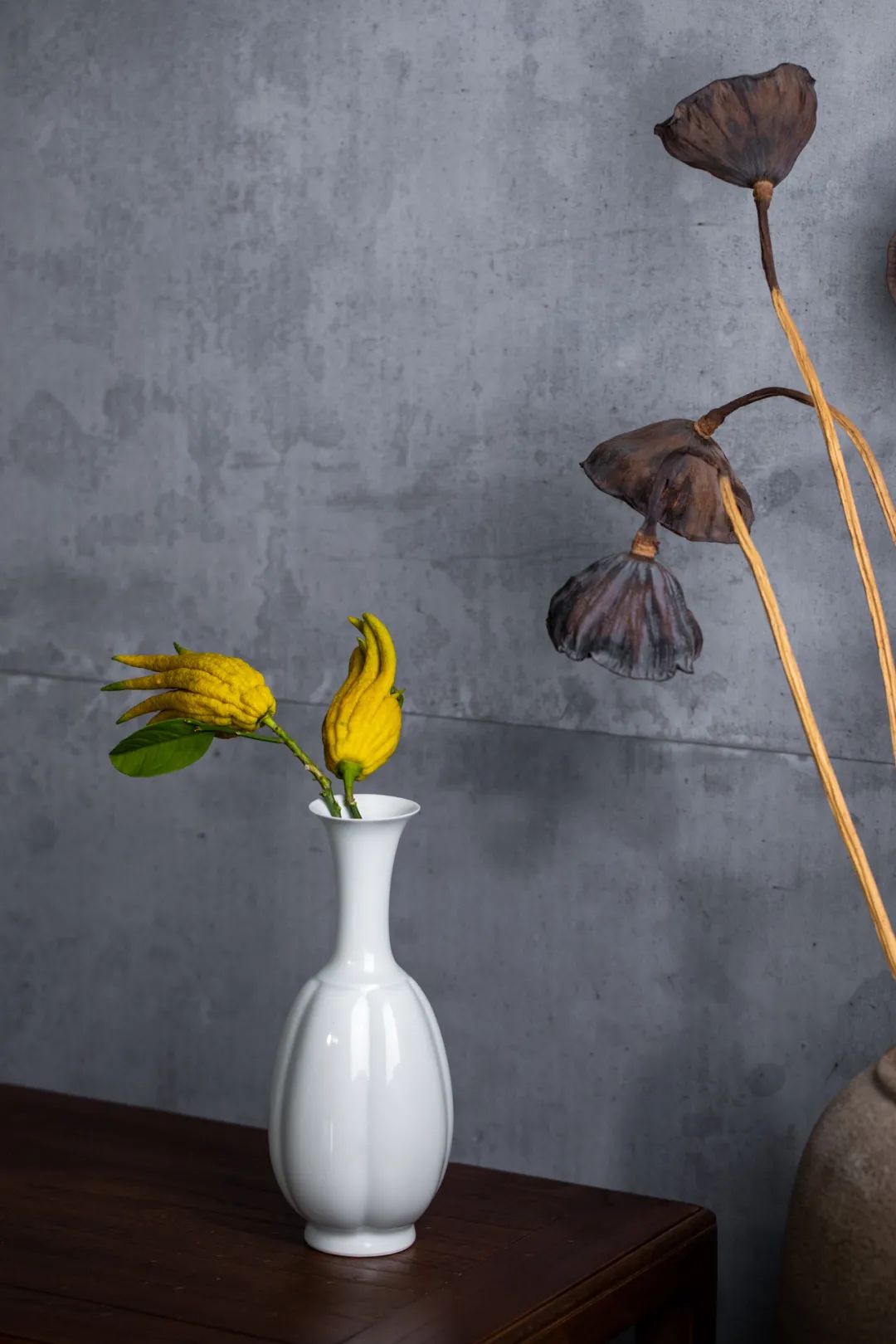 佛手清供哪里买,又到白茶飘香时