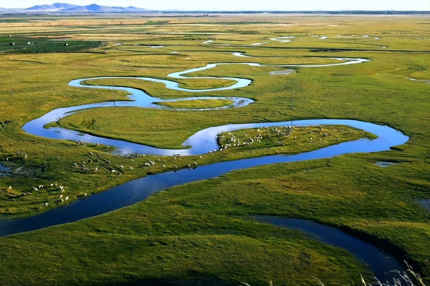 20岁女孩患虫癌死亡,少女患虫癌
