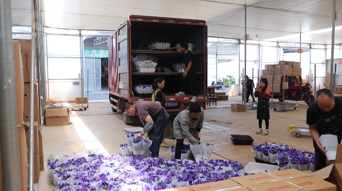 昆明滇池的爱情故事,昆明巷里的爱情故事