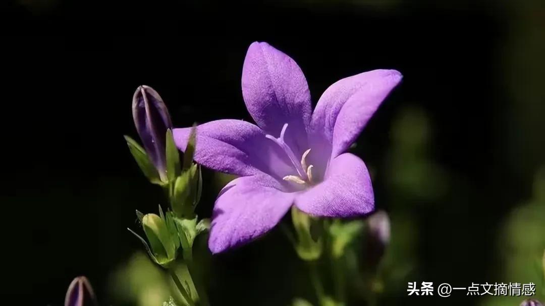 我离婚了！他的爱在游离，我背叛了所有人