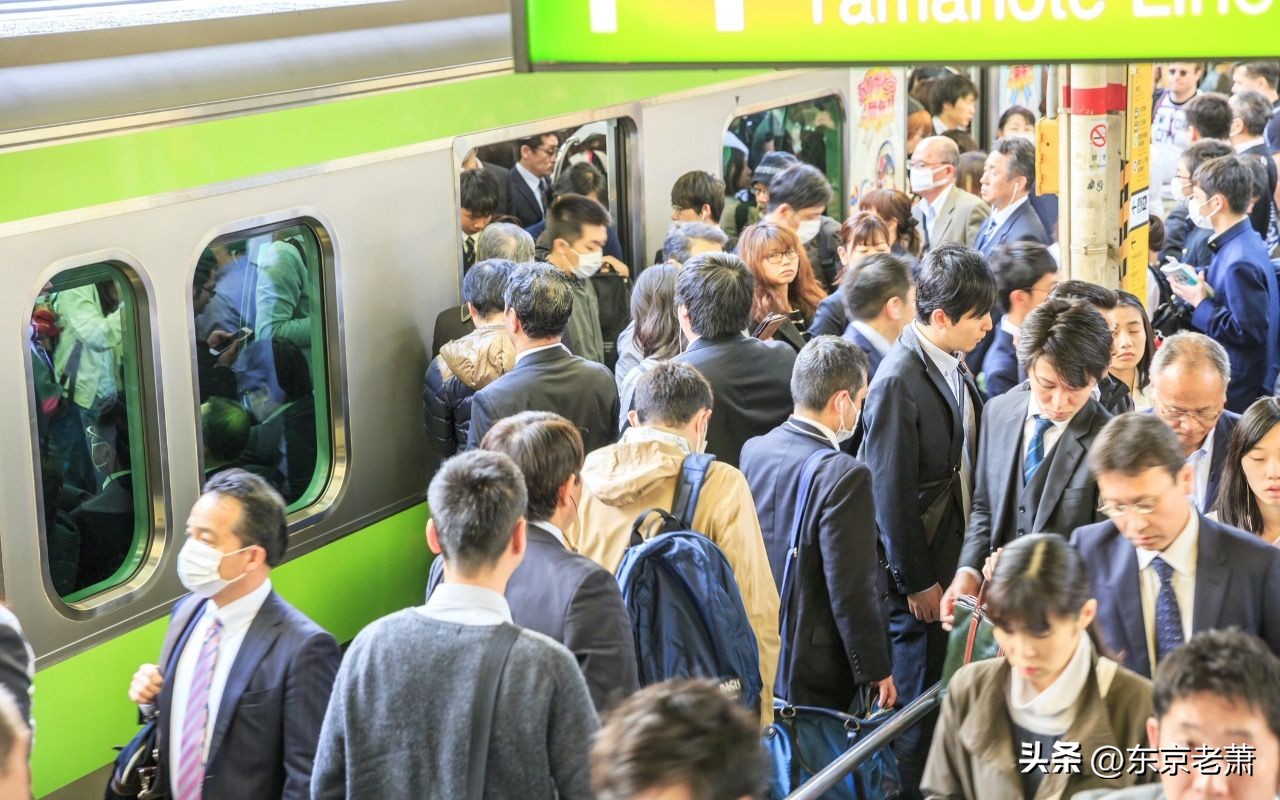 十年东京华人老炮科普——日本生活六大*规则潜**