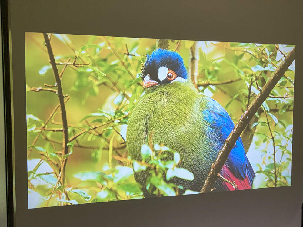 aoc智能投影仪a1max真实亮度测评,aoca1真实亮度