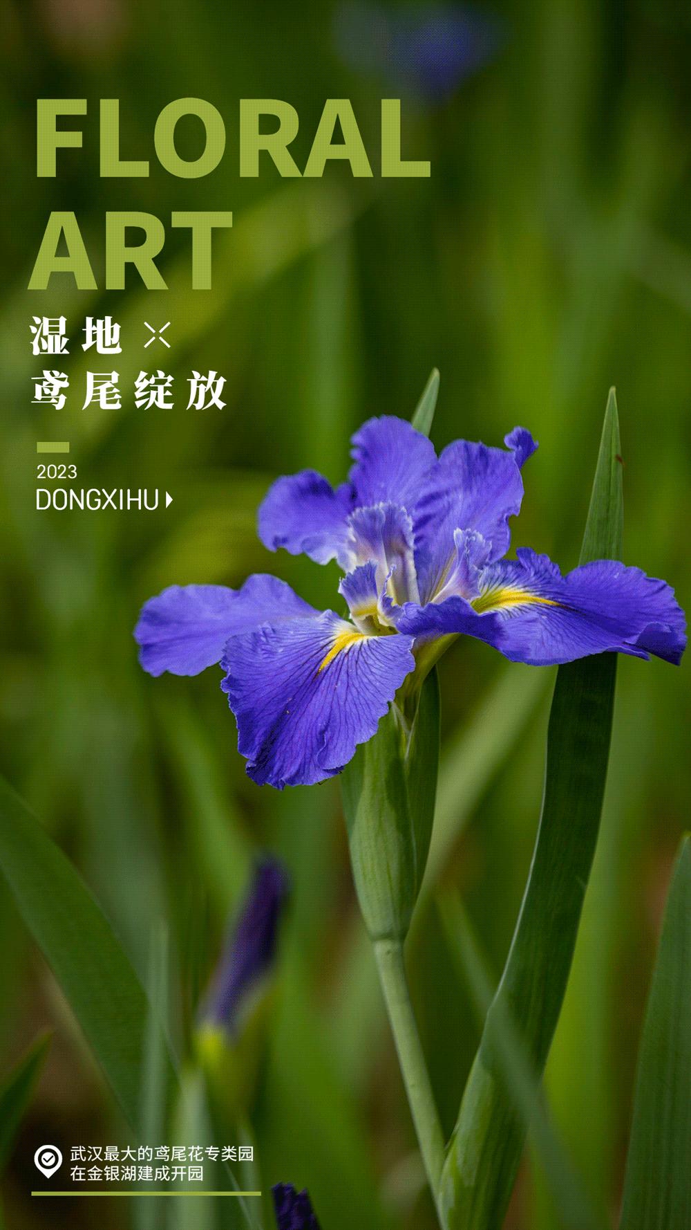 武汉东西湖奥林匹克花园,武汉东西湖碧海花园