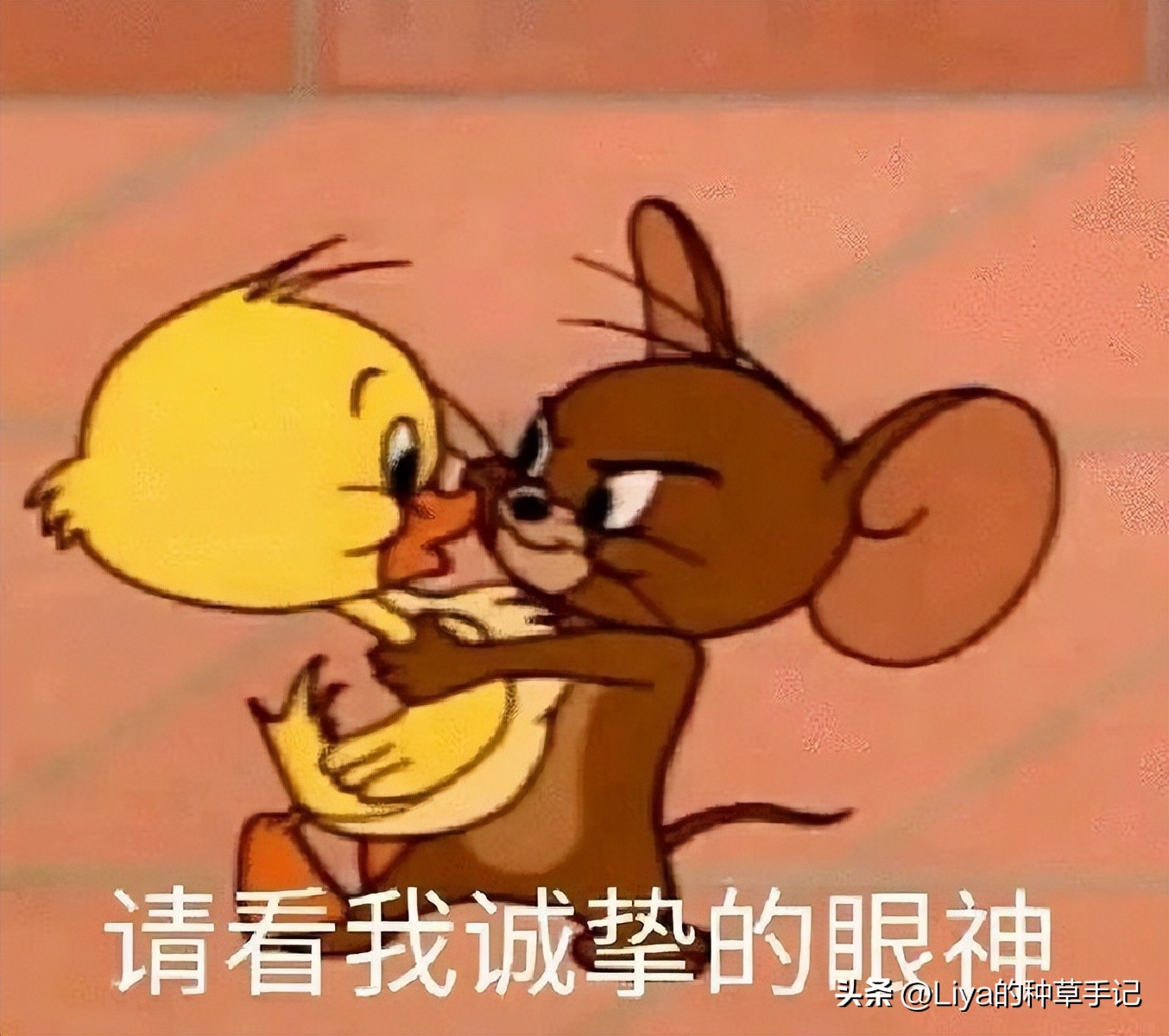 这条“女王裤”才是夏日的正确打开方式，没有心动算我输！