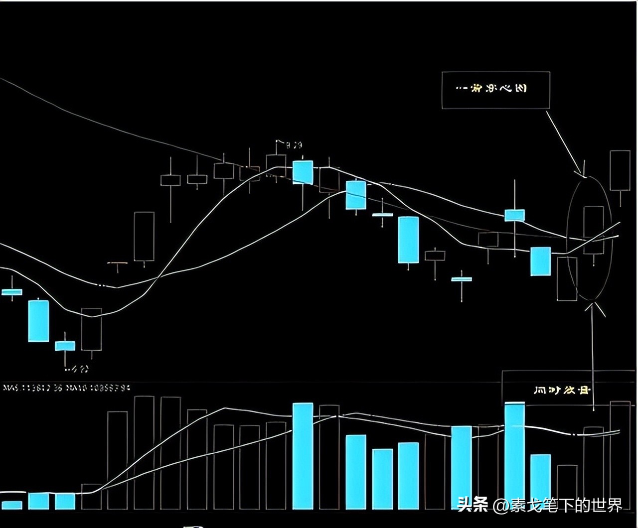 可再生资源与经济发展,可再生能源分析