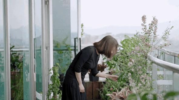 一代乐坛才女的传奇人生：花十余年，收藏千件宝贝