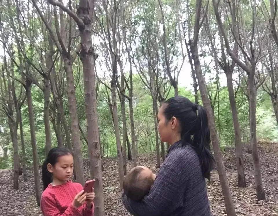 第十二届“墨子绿色与和平奖”发布仪式在气候小学举行