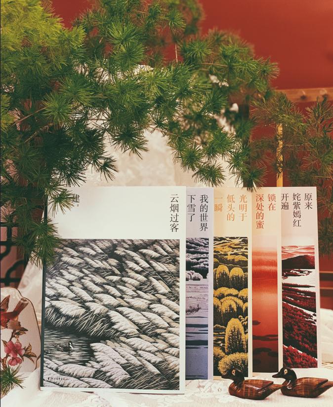 迟子建落在岁月里的温暖,迟子建小说的爱的主题