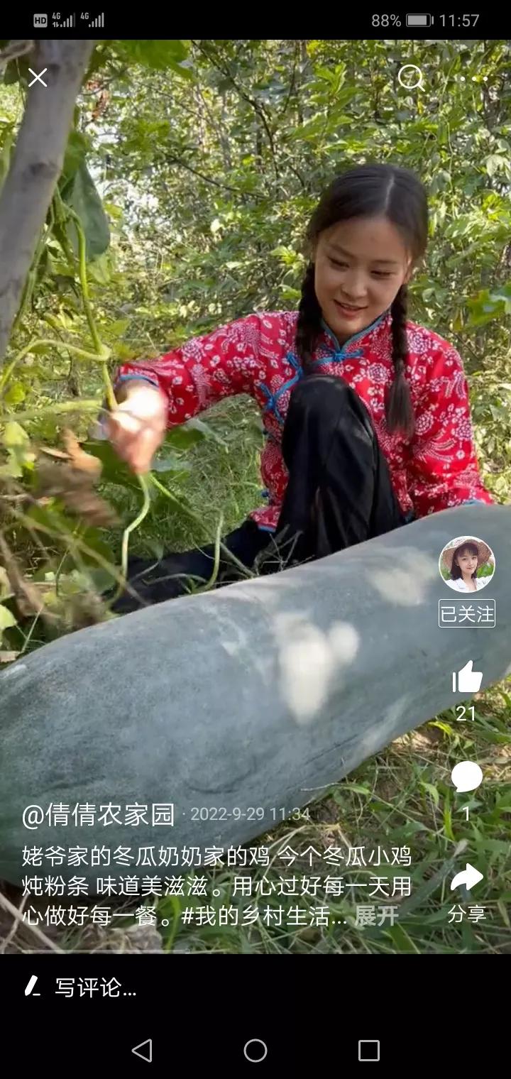 奶奶家养的鸡不给鸡吃东西,奶奶养的鸡逃了