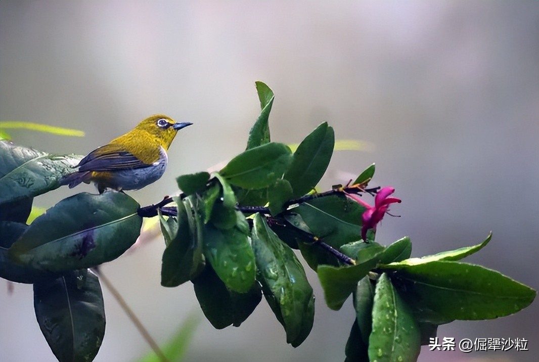 善于动用逆向思维的人都是聪明人,聪明人为什么会逆向思维