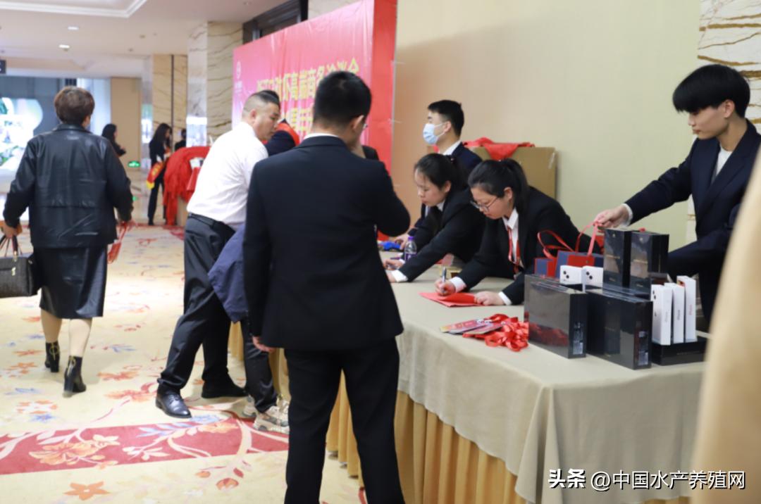 通威10000亿订单,通威股份获千亿订单