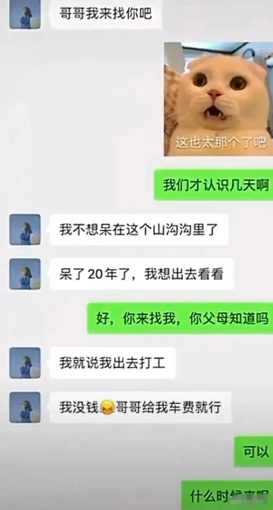 经常听人提起的杀猪盘到底是什么,杀猪盘聊天特点和细节