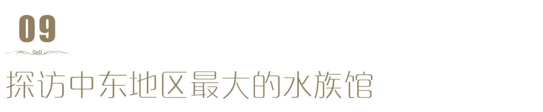 V世界｜夏天，在阿布扎比的11个“极致”体验
