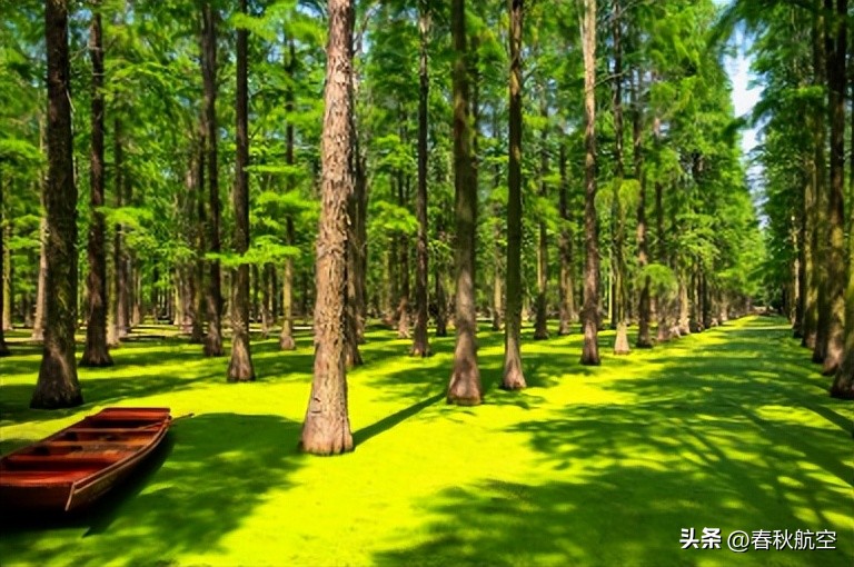 澳门旅游热门打卡点,澳门有什么最新通关消息7月