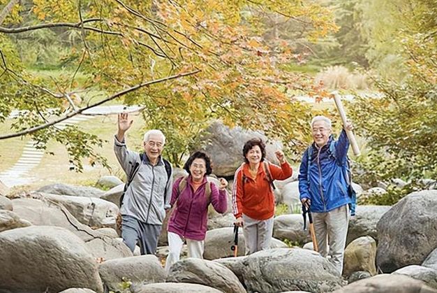 追求自由的代价：六旬夫妻卖房凑70万旅行的心路历程