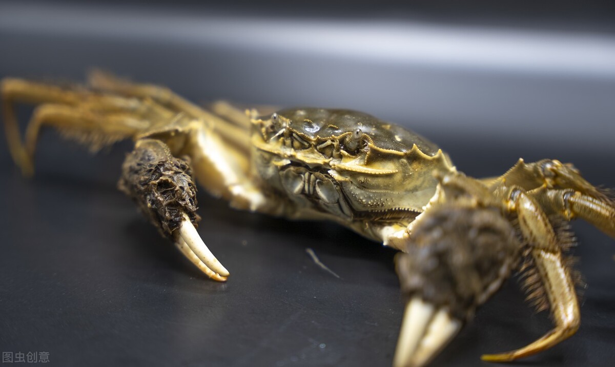 海鲜市场买回来的螃蟹死了能吃吗,活螃蟹什么地方不能吃