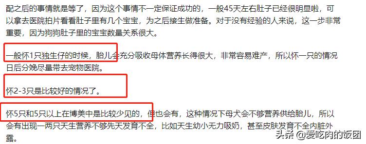 博美备孕指南，这次终于用上了，赶紧收藏起来